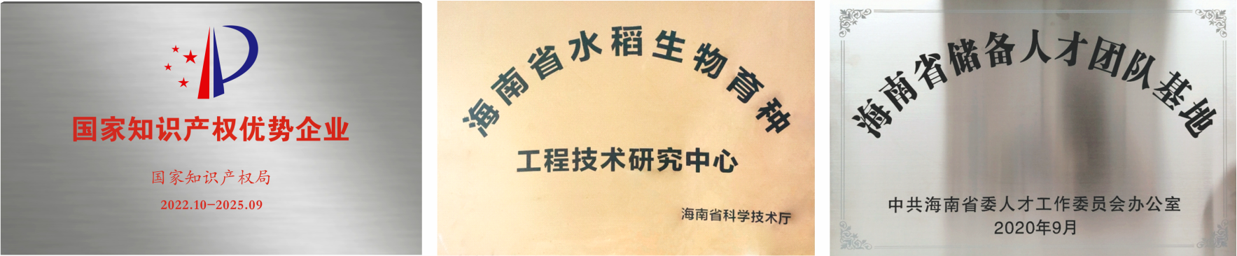 公司資質(zhì).png